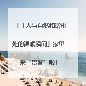 「人与自然和谐相处的温暖瞬间」家里来“贵客”啦