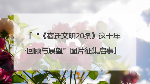 “《宿迁文明20条》这十年·回顾与展望”图片征集启事