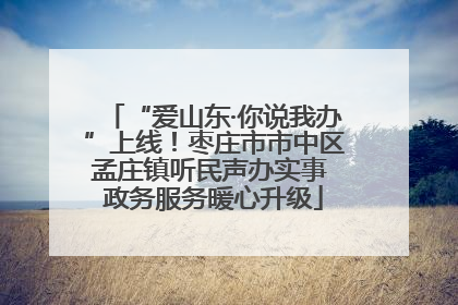 “爱山东·你说我办”上线！枣庄市市中区孟庄镇听民声办实事 政务服务暖心升级