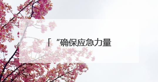“确保应急力量随时可用”——广西应对台风“蝴蝶”一线见闻