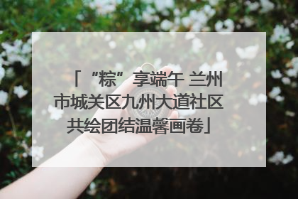 “粽”享端午 兰州市城关区九州大道社区共绘团结温馨画卷