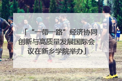 “一带一路”经济协同创新与高质量发展国际会议在新乡学院举办
