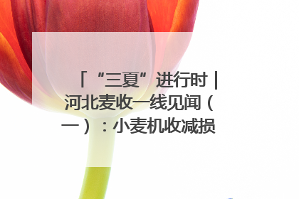 “三夏”进行时｜河北麦收一线见闻（一）：小麦机收减损“竞技” 农机高手麦田“过招”