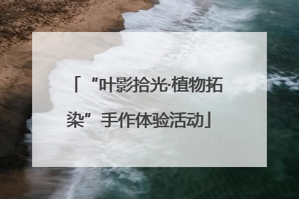 “叶影拾光·植物拓染”手作体验活动