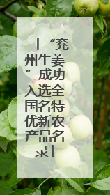 “兖州生姜”成功入选全国名特优新农产品名录