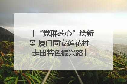 “党群莲心”绘新景 厦门同安莲花村走出特色振兴路