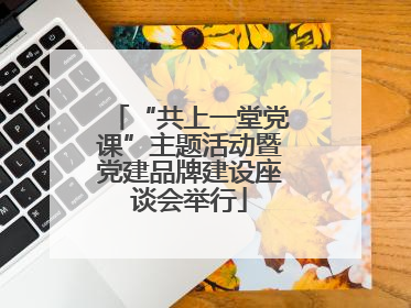 “共上一堂党课”主题活动暨党建品牌建设座谈会举行