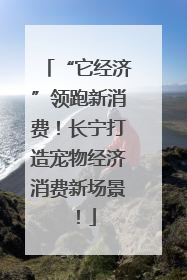 “它经济”领跑新消费！长宁打造宠物经济消费新场景！