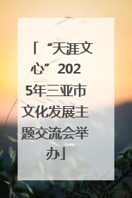 “天涯文心”2025年三亚市文化发展主题交流会举办