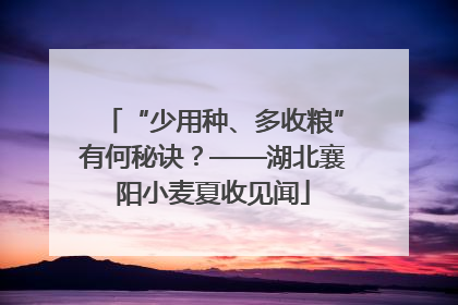 “少用种、多收粮”有何秘诀？——湖北襄阳小麦夏收见闻