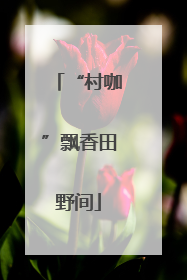 “村咖”飘香田野间