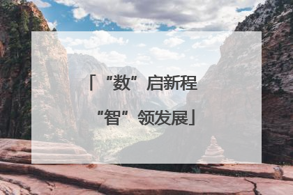“数”启新程 “智”领发展