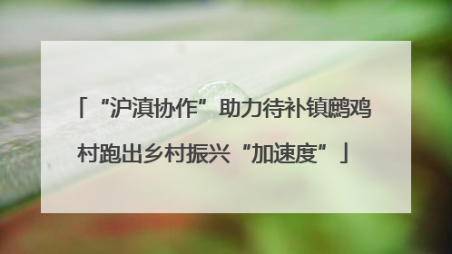“沪滇协作”助力待补镇鹧鸡村跑出乡村振兴“加速度”