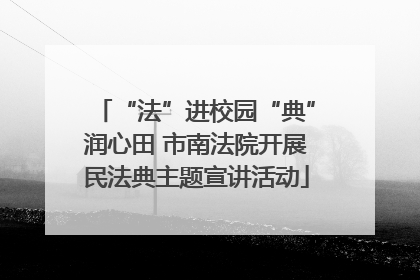 “法”进校园“典”润心田 市南法院开展民法典主题宣讲活动