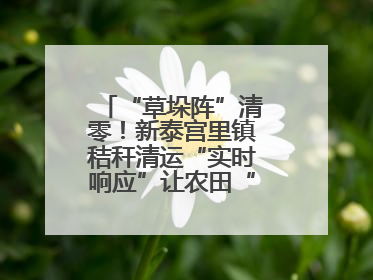 “草垛阵”清零！新泰宫里镇秸秆清运“实时响应”让农田“一键焕新”