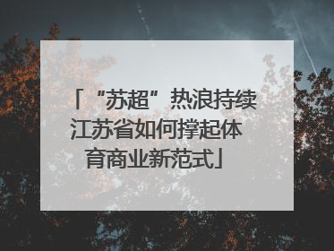 “苏超”热浪持续 江苏省如何撑起体育商业新范式