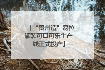 “贵州造”易拉罐装可口可乐生产线正式投产