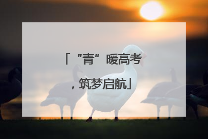 “青”暖高考，筑梦启航