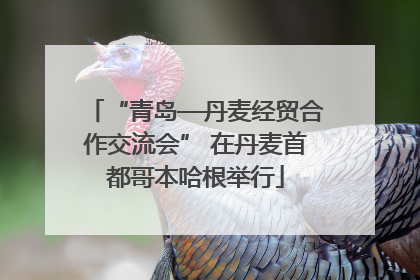 “青岛—丹麦经贸合作交流会” 在丹麦首都哥本哈根举行