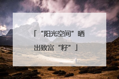 “阳光空间”晒出致富“籽”