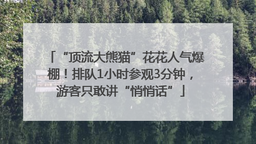 “顶流大熊猫”花花人气爆棚！排队1小时参观3分钟，游客只敢讲“悄悄话”