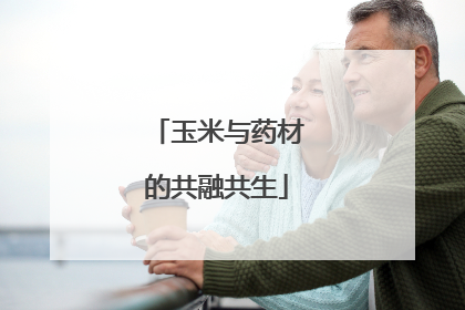 玉米与药材的共融共生