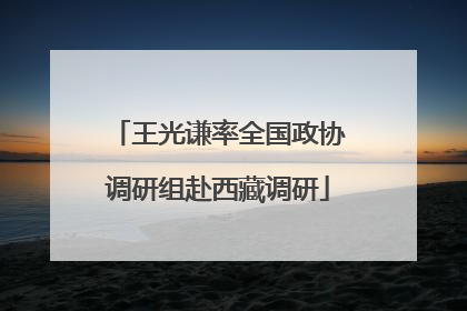 王光谦率全国政协调研组赴西藏调研