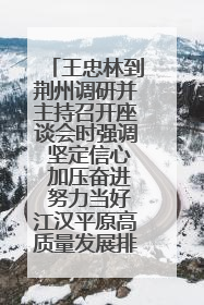 王忠林到荆州调研并主持召开座谈会时强调 坚定信心 加压奋进 努力当好江汉平原高质量发展排头兵