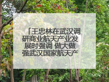 王忠林在武汉调研商业航天产业发展时强调 做大做强武汉国家航天产业基地 打造具有全国影响力的“中国星谷”