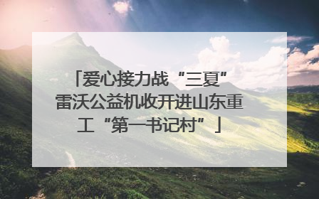 爱心接力战“三夏” 雷沃公益机收开进山东重工“第一书记村”