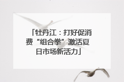 牡丹江：打好促消费“组合拳”激活夏日市场新活力