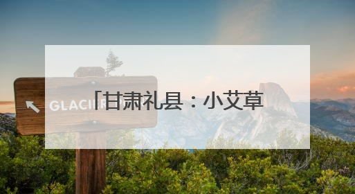 甘肃礼县：小艾草“链”上大产业