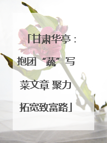 甘肃华亭：抱团“蔬”写菜文章 聚力拓宽致富路