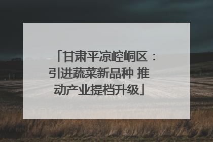 甘肃平凉崆峒区：引进蔬菜新品种 推动产业提档升级