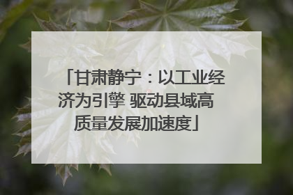 甘肃静宁：以工业经济为引擎 驱动县域高质量发展加速度