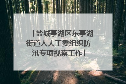 盐城亭湖区东亭湖街道人大工委组织防汛专项视察工作
