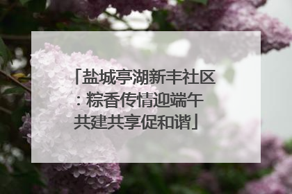 盐城亭湖新丰社区：粽香传情迎端午 共建共享促和谐