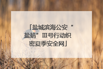 盐城滨海公安“盐靖”Ⅲ号行动织密夏季安全网