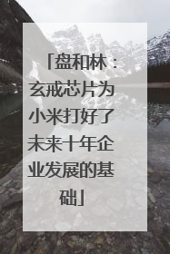 盘和林：玄戒芯片为小米打好了未来十年企业发展的基础