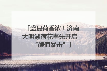 盛夏荷香浓！济南大明湖荷花率先开启“颜值暴击”