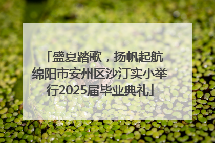 盛夏踏歌，扬帆起航 绵阳市安州区沙汀实小举行2025届毕业典礼