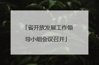 省开放发展工作领导小组会议召开