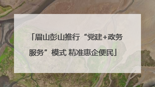 眉山彭山推行“党建+政务服务”模式 精准惠企便民