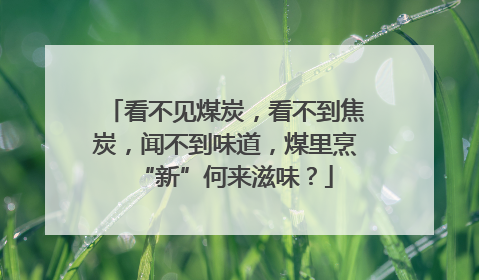 看不见煤炭，看不到焦炭，闻不到味道，煤里烹“新”何来滋味？