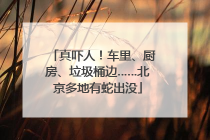 真吓人！车里、厨房、垃圾桶边……北京多地有蛇出没
