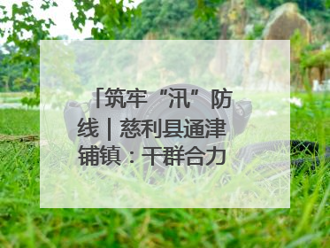 筑牢“汛”防线｜慈利县通津铺镇：干群合力抗击洪灾