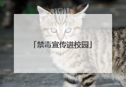 禁毒宣传进校园
