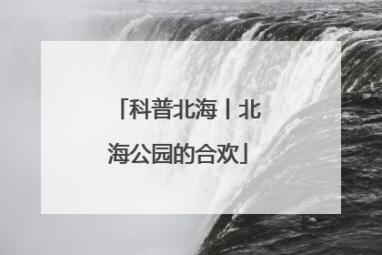 科普北海丨北海公园的合欢