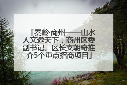 秦岭·商州——山水人文邀天下，商州区委副书记、区长支朝奇推介5个重点招商项目