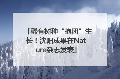 稀有树种“抱团”生长！沈阳成果在Nature杂志发表